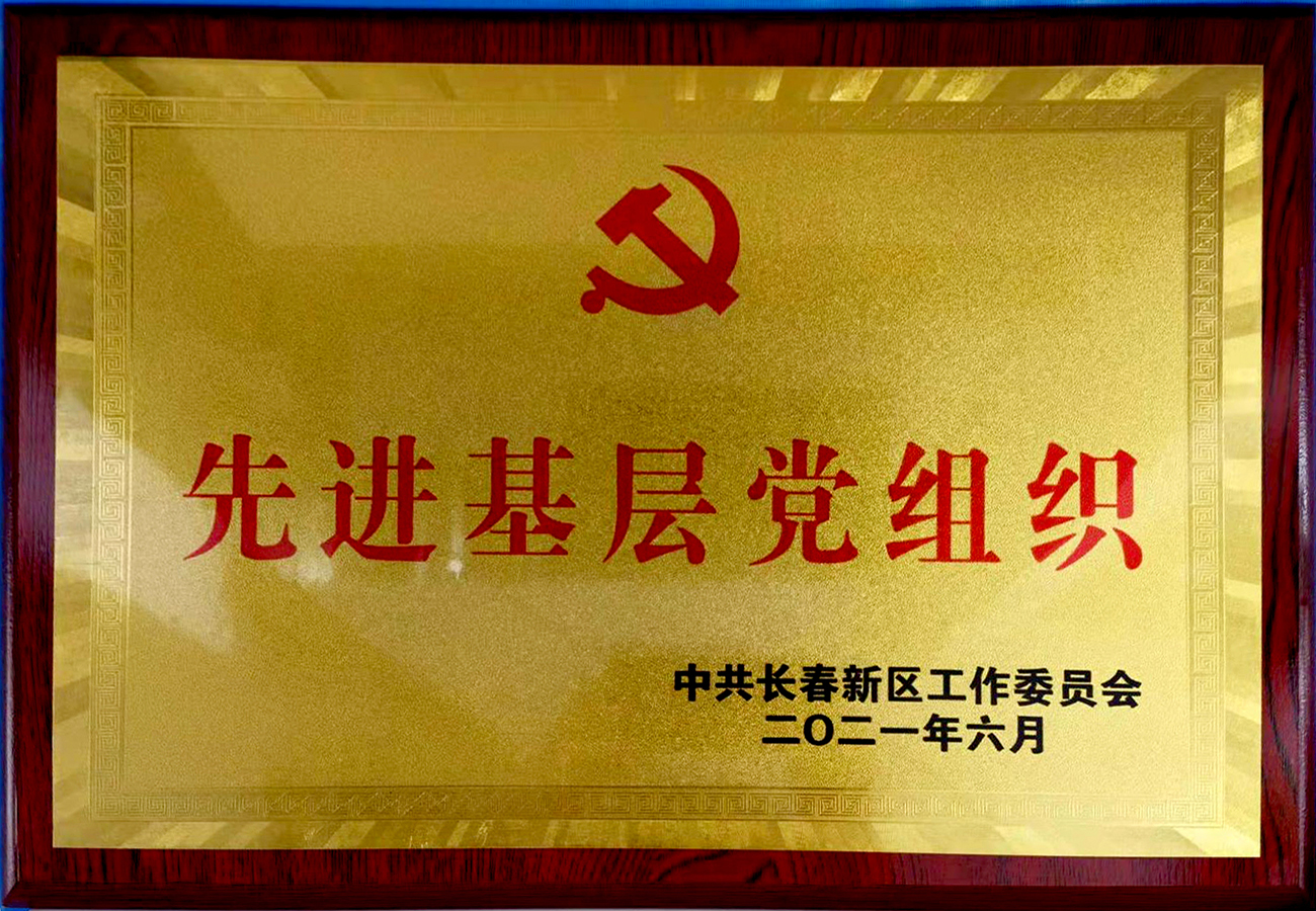 22長春新區先進基層黨組織.jpg